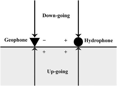 Fast Least-Squares Reverse Time Migration of OBN Down-Going Multiples